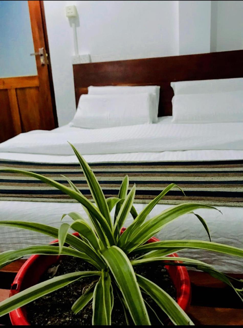 Minthu Homestay Ella Esterno foto